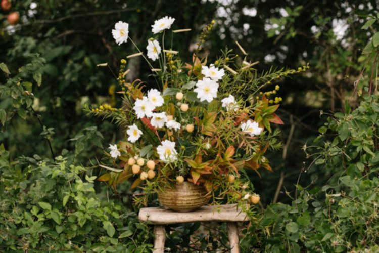 Cut Flower Sourcebook Green And Gorgeous Flowers