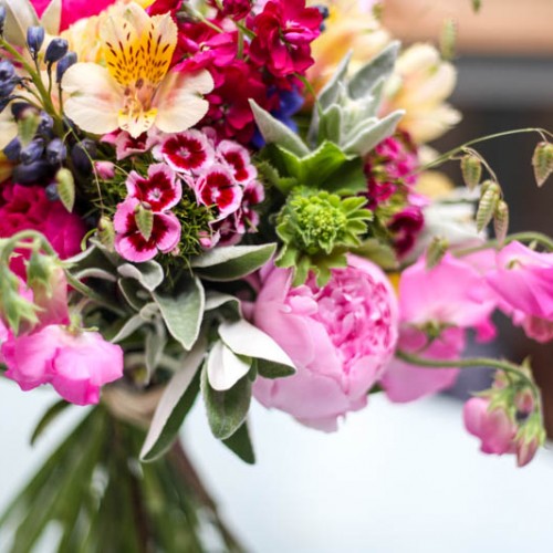 Spring - Green and Gorgeous Flowers