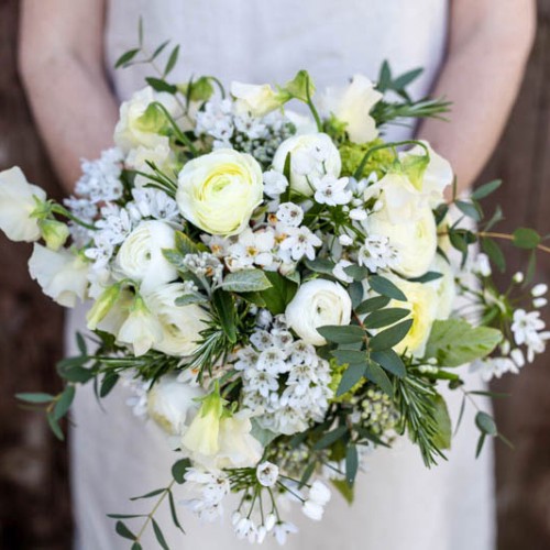 Spring - Green and Gorgeous Flowers