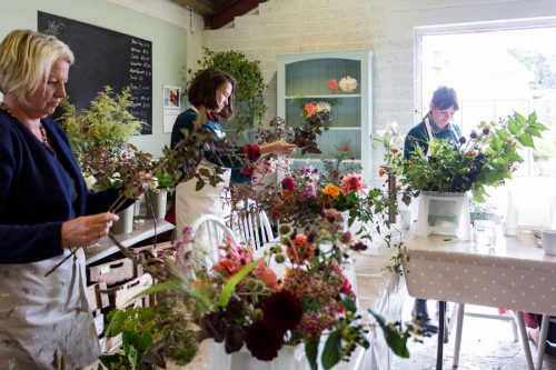 Floristry - Green and Gorgeous Flowers