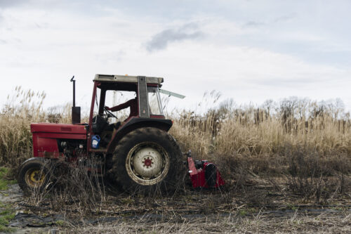 Flower Farming through the Seasons - Image 18