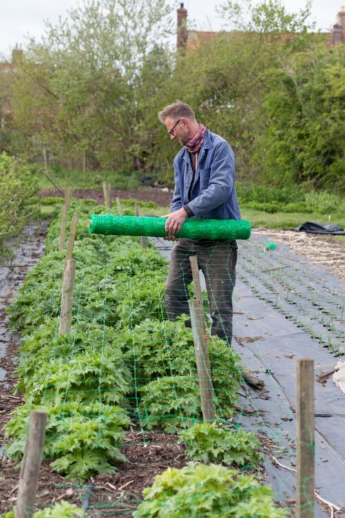 Flower Farming through the Seasons - Image 17