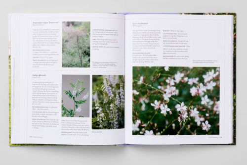 Cut Flower Sourcebook - Green and Gorgeous Flowers