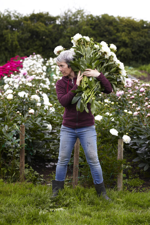 Flower Farming through the Seasons - Image 16