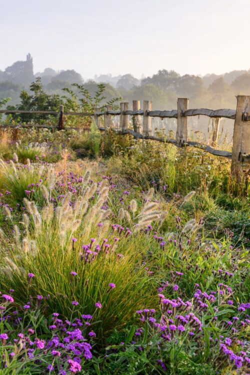 Garden and Flower Photography with Jason Ingram - Image 5